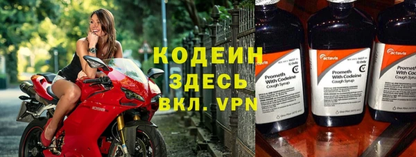 хмурый Абаза