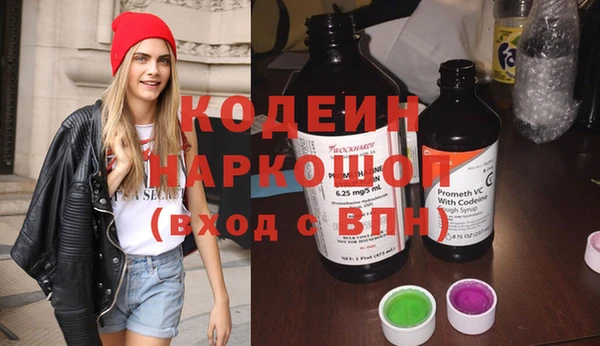 хмурый Абаза
