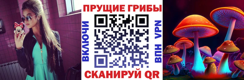 Галлюциногенные грибы Cubensis  Златоуст 