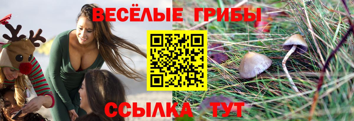 Златоуст  Псилоцибиновые грибы мицелий  Вход с VPN 